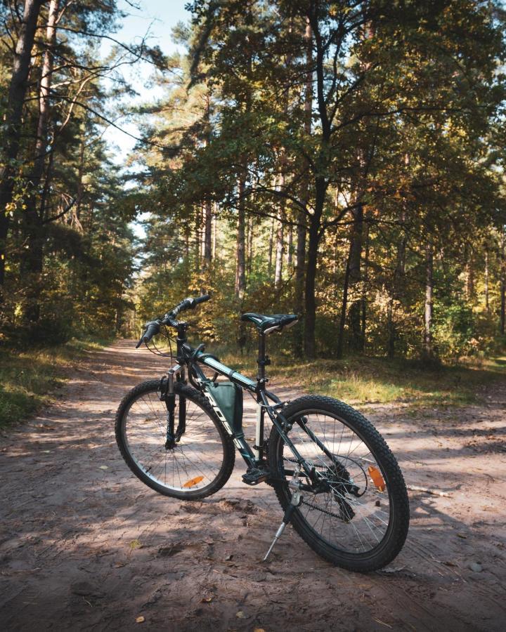 Lesna 21 Dom Poludnie Przy Puszcza Bialowieska Luka Экстерьер фото