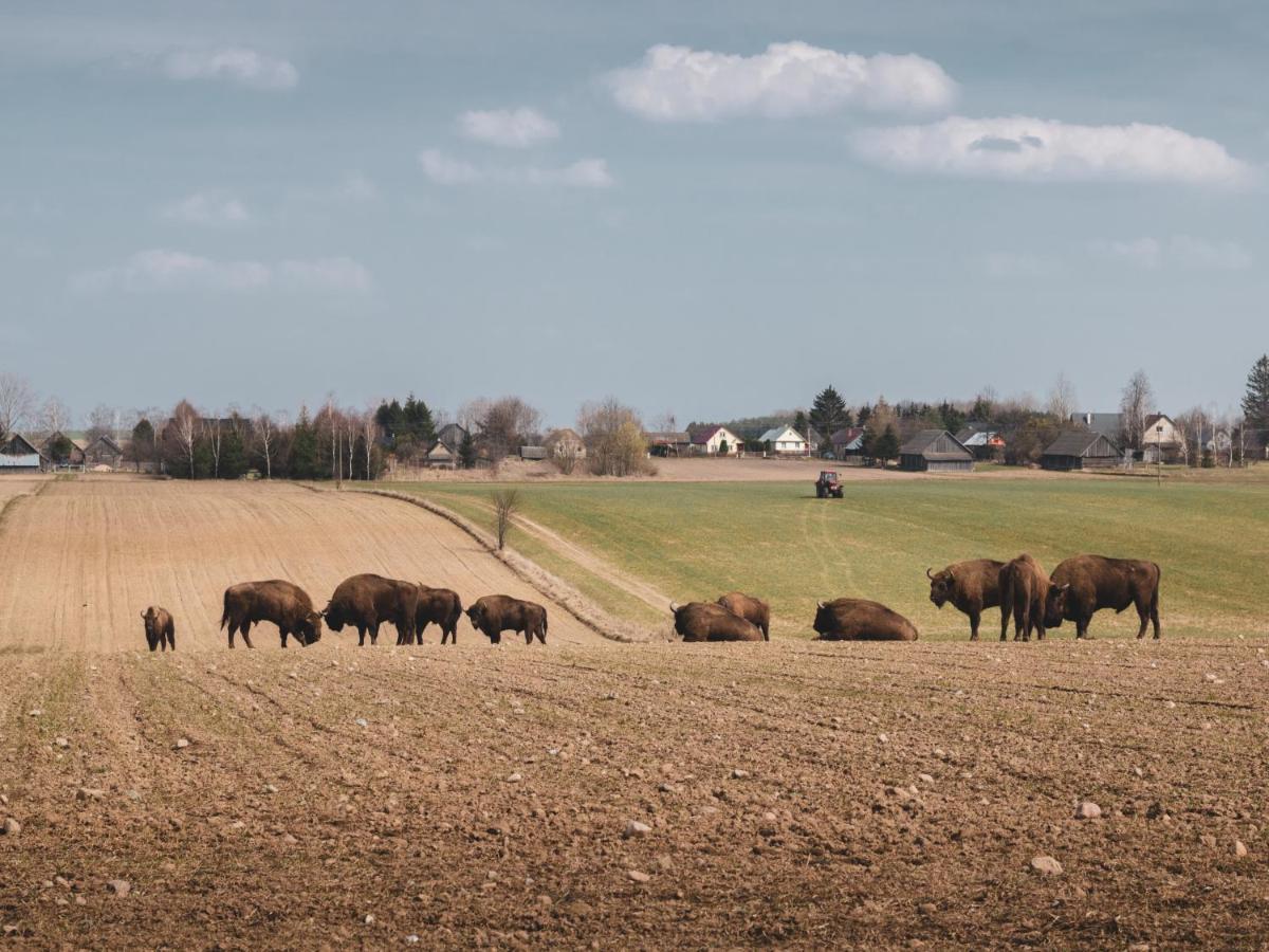 Lesna 21 Dom Poludnie Przy Puszcza Bialowieska Luka Экстерьер фото