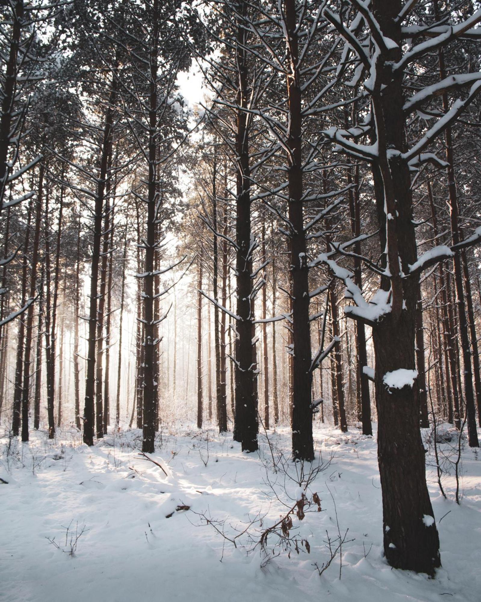 Lesna 21 Dom Poludnie Przy Puszcza Bialowieska Luka Экстерьер фото